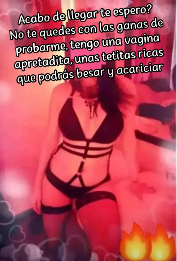 Gaviota Avatar Bg