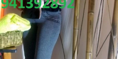 LAS CHICAS MAS ARDIENTES AHORA DISPONIBLES 954337979