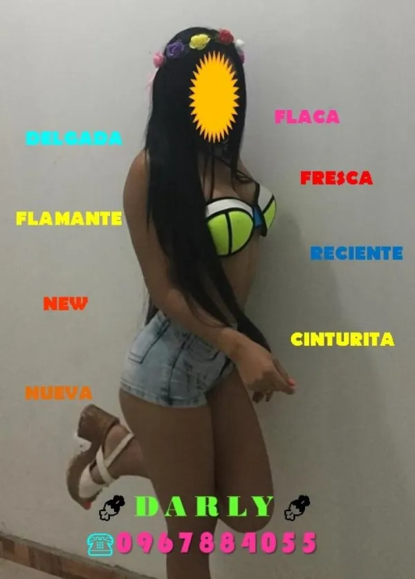 DARLY Avatar Bg