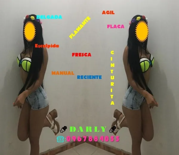 DARLY Avatar Bg