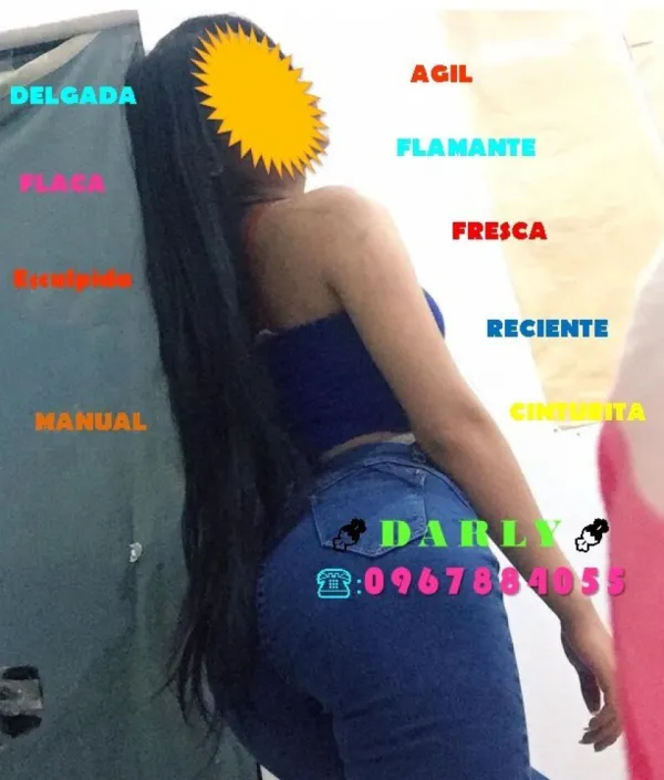 DARLY Avatar Bg