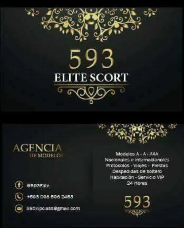 593Elite Avatar Bg