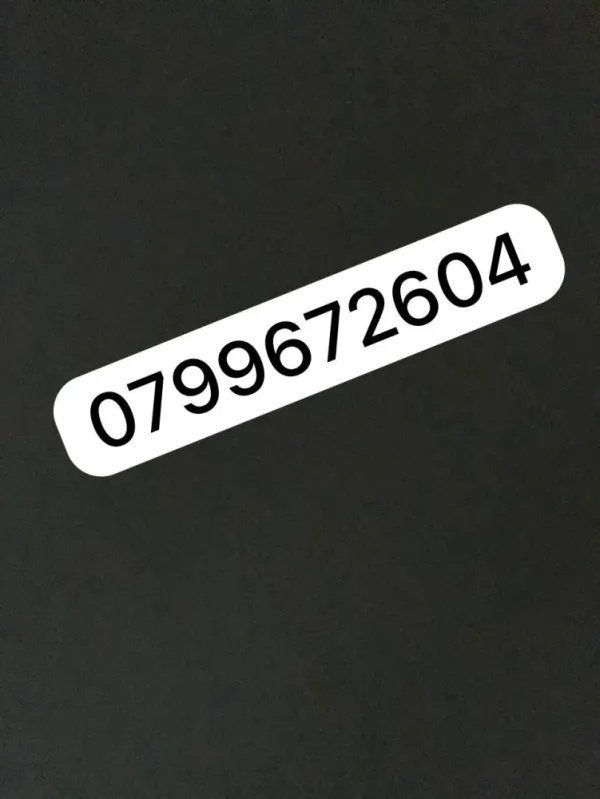 سالي Avatar Bg