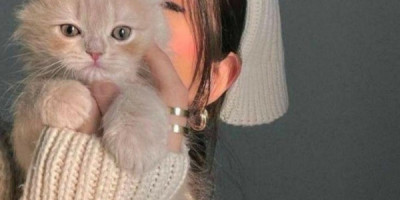 رنوش رنوش رنوش رنوشرنوش رنوشرنوش رنوشرنوش رنوشرنوش رنوشرنوش رنوشرنوش رنوشرنوش رنوش