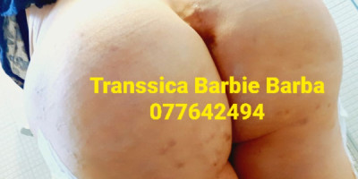 SEKS DRUZENJE 077642494 TRANSSICA SO GOLEM BRAZILIAN GZZ BIG ASS NAJGOLEMI GRADI BR 12