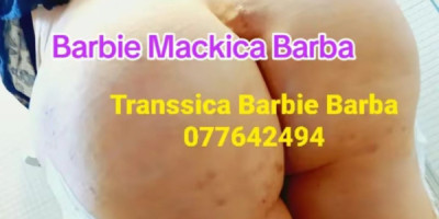 SEKS DRUZENJE 077642494 TRANSSICA SO GOLEM BRAZILIAN GZZ BIG ASS NAJGOLEMI GRADI BR 12