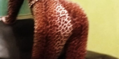 PARÍS DE NOCHE VEN A CONO LA CASA DE LAS FANTACIAS SIGUE CRECIENDO Y MEJORANDO PARA TI