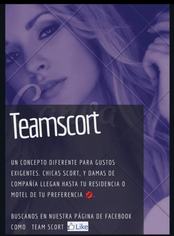 Agencia Teamscort Avatar Bg
