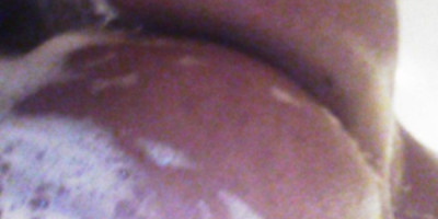 Exotic Cookie Ready For You To Takd This Cream