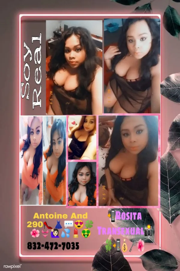 Valeria Ts Avatar Bg