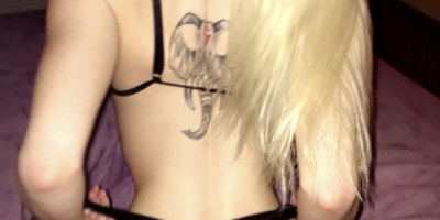 Hello Kitty Hey it's kitty ! Nashville's favorite companion! Petite plat