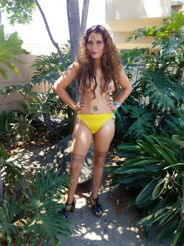 Sofia Avatar Bg