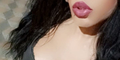 Trans latina Brasil trans latina Brasil trans latina Brasil